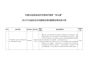 辛集市省委省政府环境保护督察“回头看”及大气污染防治专项督察反馈问题整改情况统计表.docx