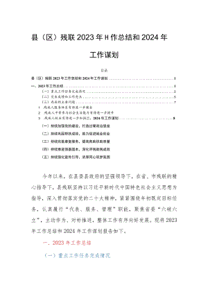 县（区）残联2023年工作总结和2024年工作谋划.docx