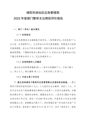 绵阳市游仙区应急管理局2022年度部门整体支出绩效评价报告.docx