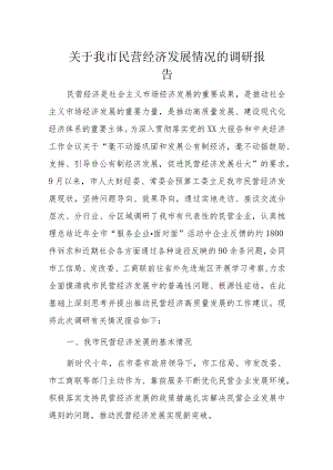 关于我市民营经济发展情况的调研报告.docx