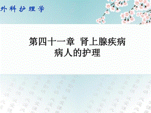 第四十一章肾上腺疾病病人的护理.ppt