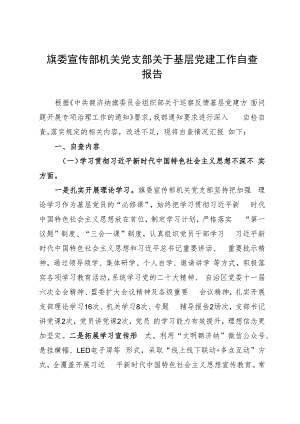 旗委宣传部机关党支部关于基层党建工作自查报告.docx
