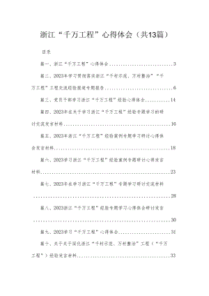 浙江“千万工程”心得体会（共13篇）.docx