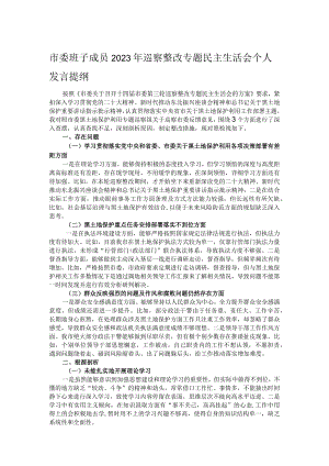 市委班子成员2023年巡察整改专题民主生活会个人发言提纲.docx