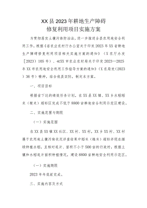 XX县2023年耕地生产障碍修复利用项目实施方案.docx