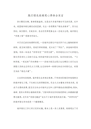 践行绿色政绩观心得体会发言.docx
