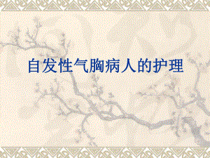 自发性气胸病人的护理.ppt