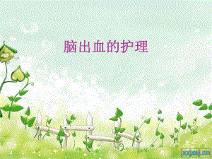脑出血的护理.ppt