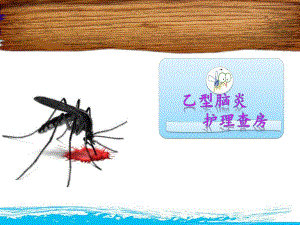 脑炎护理查房.ppt