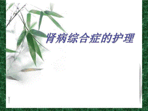 肾病综合症的护理.ppt