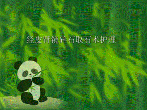 经皮肾镜碎石术护理.ppt
