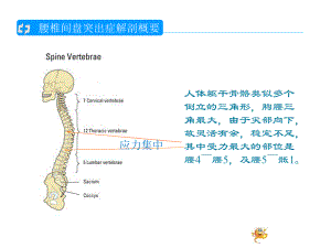 腰椎间盘突出的护理查房1.ppt