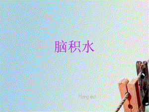 脑积水的护理查房.ppt