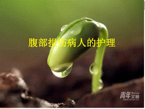 腹部损伤病人护理.ppt