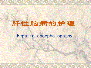 肝性脑病病人的护理.ppt