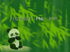 经皮肾镜碎石术护理.ppt