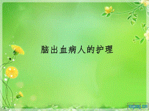 脑出血病人的护理.pptll.ppt