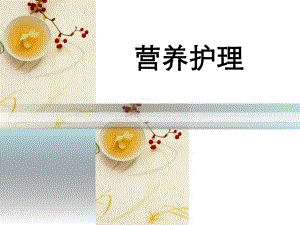 肠内肠外营养护理.ppt