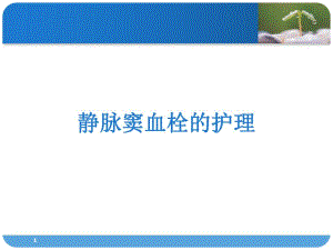 静脉窦血栓的护理.ppt