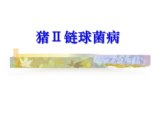 猪链球菌病及其防控.ppt