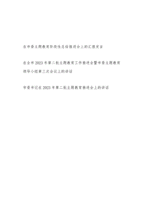 2023在市委第二批“学思想、强党性、重实践、建新功”阶段性总结推进会上的汇报发言讲话3篇.docx