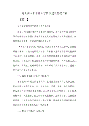 选人用人和干部人才队伍建设情况六篇.docx