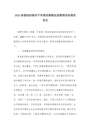 2023县委组织部关于市委巡察整改进展情况的报告范文.docx