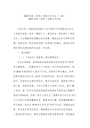 2023党组（党委）党建工作总结(二篇).docx