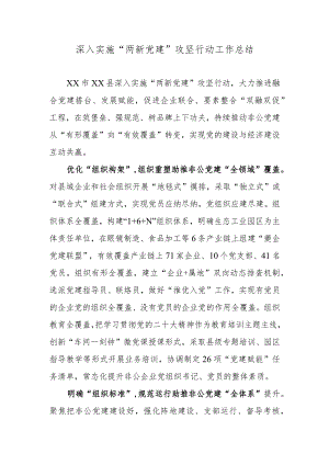 深入实施“两新党建”攻坚行动工作总结.docx