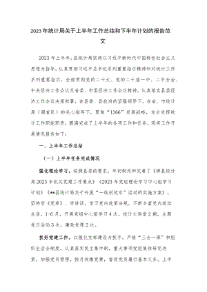 2023年统计局关于上半年工作总结和下半年计划的报告范文.docx