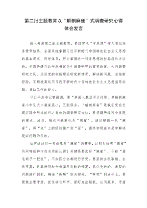 第二批主题教育以“解剖麻雀”式调查研究心得体会发言.docx