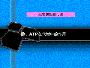 酶、ATP在代谢中的作用.ppt