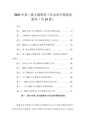 2023年第二批专题工作总结开展情况报告（共13篇）.docx