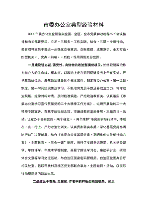 市委办公室典型经验材料.docx