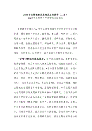 2023年主题教育开展情况总结报告(二篇).docx