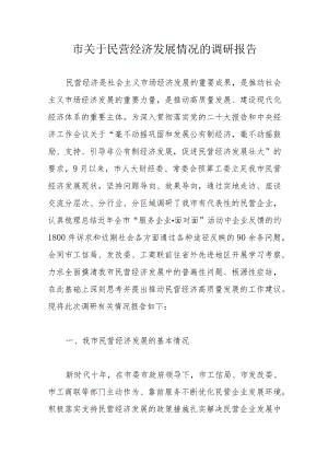 市关于民营经济发展情况的调研报告.docx