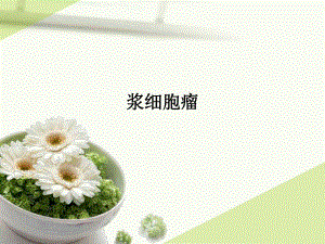 浆细胞瘤精要.ppt