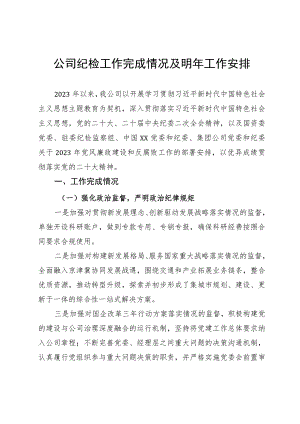 公司纪检工作完成情况.docx