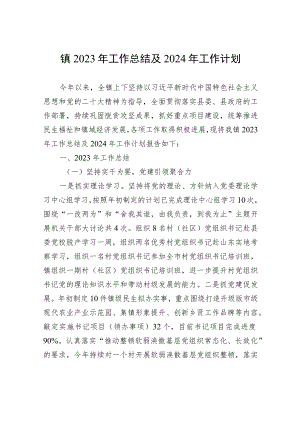 镇2023年工作总结及2024年工作计划(20231107).docx