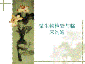 微生物检验与临床沟通.ppt