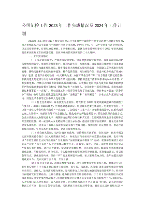 公司纪检工作2023年工作完成情况及2024年工作计划.docx