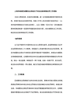 上海市杨浦区城管执法系统关于依法实施审慎处罚工作措施.docx