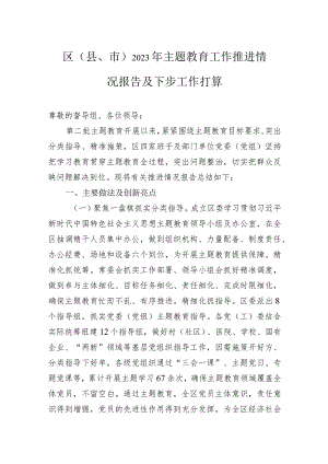区（县、市）2023年主题教育工作推进情况报告及下步工作打算.docx