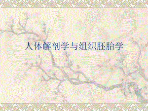 人体解剖学与组织胚胎学.ppt
