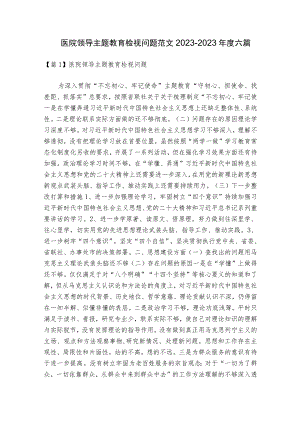 医院领导主题教育检视问题范文2023-2023年度六篇.docx
