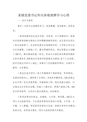 某镇党委书记外出参观观摩学习心得.docx