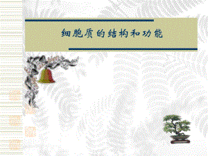 细胞结构.ppt.ppt