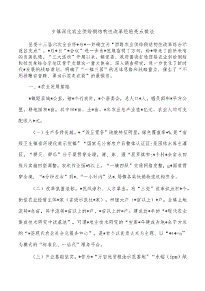 乡镇深化农业供给侧结构性改革经验亮点做法.docx