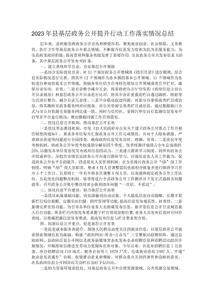 2023年县基层政务公开提升行动工作落实情况总结 .docx