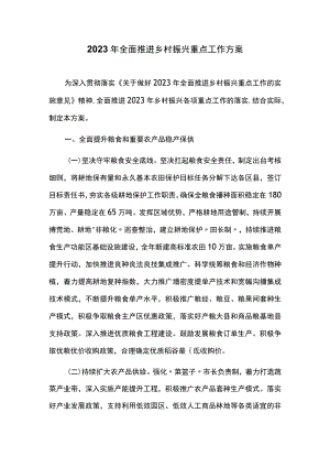2023年全面推进乡村振兴重点工作方案.docx